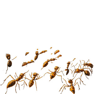 Army Of Ants Vinyl Car Decal Sticker – Waterproof & UV-Resistant 8"