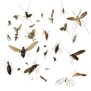 Bosch-Style Bugs Vinyl Car Decal Sticker – Waterproof & UV-Resistant 8"