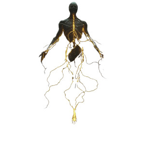 Golden Veined Figure Vinyl Car Decal Sticker – Waterproof & UV-Resistant 8" Golden Veined Figure Vinyl Car Decal Sticker – Waterproof & UV-Resistant 8"