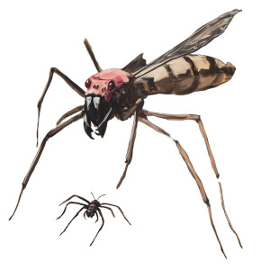 Wasp-Headed Spider Vinyl Car Decal Sticker – Waterproof & UV-Resistant 8"