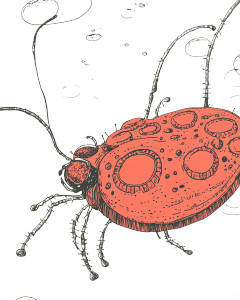 A Bug Vinyl Car Decal Sticker – Waterproof & UV-Resistant 8" A Bug Vinyl Car Decal Sticker – Waterproof & UV-Resistant 8"
