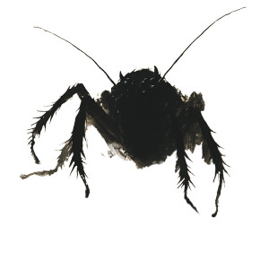 Shadowy Cockroach Monster Vinyl Car Decal Sticker – Waterproof & UV-Resistant 8" Shadowy Cockroach Monster Vinyl Car Decal Sticker – Waterproof & UV-Resistant 8"