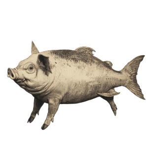 Pig-Fish Hybrid Vinyl Car Decal Sticker – Waterproof & UV-Resistant 8" Pig-Fish Hybrid Vinyl Car Decal Sticker – Waterproof & UV-Resistant 8"