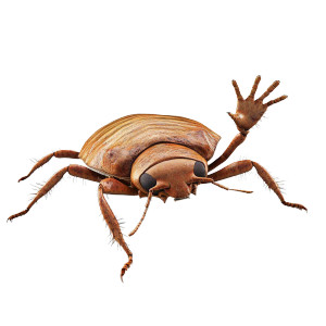 Waving Bed Bug Vinyl Car Decal Sticker – Waterproof & UV-Resistant 8"