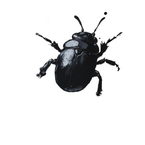 Ink Drowned Scarab Vinyl Car Decal Sticker – Waterproof & UV-Resistant 8" Ink Drowned Scarab Vinyl Car Decal Sticker – Waterproof & UV-Resistant 8"