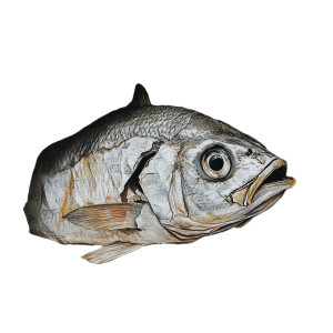 Fish In Newspaper Vinyl Car Decal Sticker – Waterproof & UV-Resistant 8" Fish In Newspaper Vinyl Car Decal Sticker – Waterproof & UV-Resistant 8"
