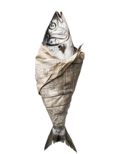 Fish In Newspaper V2 Vinyl Car Decal Sticker – Waterproof & UV-Resistant 8"