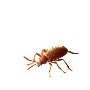 Reddish-Brown Insects Macro Vinyl Car Decal Sticker – Waterproof & UV-Resistant 8"