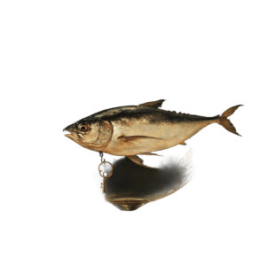 Transparent Tuna Key Vinyl Car Decal Sticker – Waterproof & UV-Resistant 8"