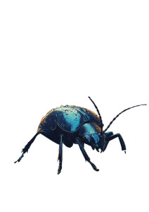 Blue Jeweled Beetle Vinyl Car Decal Sticker – Waterproof & UV-Resistant 8"