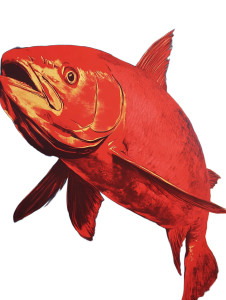 Warhol Salmon Vinyl Car Decal Sticker – Waterproof & UV-Resistant 8"