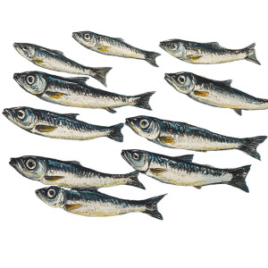 Shimmering Sardine Shoal Vinyl Car Decal Sticker – Waterproof & UV-Resistant 8"