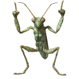 Mantis Rogue Flipping Vinyl Car Decal Sticker – Waterproof & UV-Resistant 8"