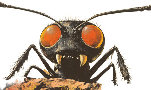 Angry Ant Comic Vinyl Car Decal Sticker – Waterproof & UV-Resistant 8"