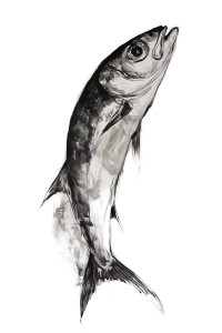 Brushstroke Sardine Vinyl Car Decal Sticker – Waterproof & UV-Resistant 8"