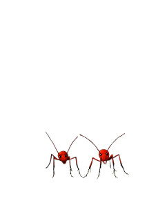 Red Ant Guards Vinyl Car Decal Sticker – Waterproof & UV-Resistant 8"