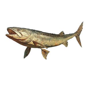 Barracuda Art Vinyl Car Decal Sticker – Waterproof & UV-Resistant 8"