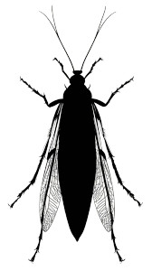 Insect Silhouette Vinyl Car Decal Sticker – Waterproof & UV-Resistant 8"