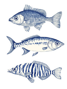 Blue Ink Fishes Vinyl Car Decal Sticker – Waterproof & UV-Resistant 8" Blue Ink Fishes Vinyl Car Decal Sticker – Waterproof & UV-Resistant 8"