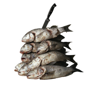 Fish Plate Vinyl Car Decal Sticker – Waterproof & UV-Resistant 8"