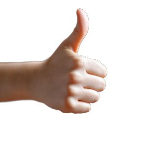 Thumbs Down Vinyl Car Decal Sticker – Waterproof & UV-Resistant 8"