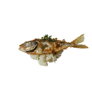 Tiny Fried Bass Vinyl Car Decal Sticker – Waterproof & UV-Resistant 8"