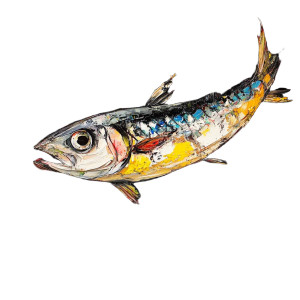 Stylized Sardine Painting Vinyl Car Decal Sticker – Waterproof & UV-Resistant 8" Stylized Sardine Painting Vinyl Car Decal Sticker – Waterproof & UV-Resistant 8"