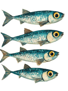 Vintage Sardine Painting Vinyl Car Decal Sticker – Waterproof & UV-Resistant 8"