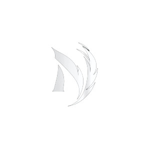 Minimalistic N Logo Vinyl Car Decal Sticker – Waterproof & UV-Resistant 8"