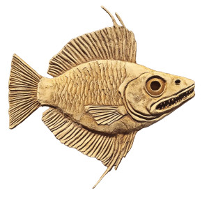 Cartoon Fish Fossil Vinyl Car Decal Sticker – Waterproof & UV-Resistant 8" Cartoon Fish Fossil Vinyl Car Decal Sticker – Waterproof & UV-Resistant 8"