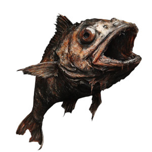 Fantasy Rotting Fish Vinyl Car Decal Sticker – Waterproof & UV-Resistant 8"