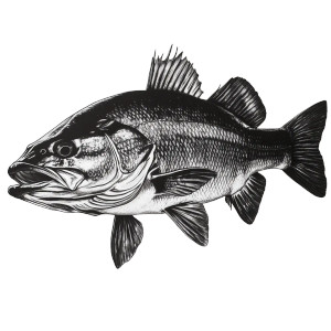 Largemouth Bass Vinyl Car Decal Sticker – Waterproof & UV-Resistant 8"