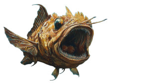 Anglerfish Story Vinyl Car Decal Sticker – Waterproof & UV-Resistant 8" Anglerfish Story Vinyl Car Decal Sticker – Waterproof & UV-Resistant 8"