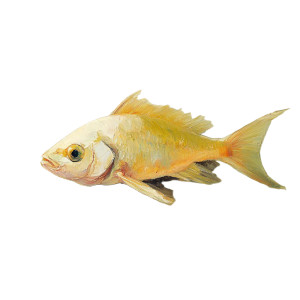 Artistic Fish Still-Life Vinyl Car Decal Sticker – Waterproof & UV-Resistant 8"