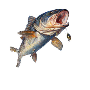 Leaping Seabass Painting Vinyl Car Decal Sticker – Waterproof & UV-Resistant 8"