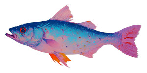 Rotting Pomfret Fish Vinyl Car Decal Sticker – Waterproof & UV-Resistant 8"