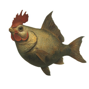 Chicken-Fish Hybrid Vinyl Car Decal Sticker – Waterproof & UV-Resistant 8" Chicken-Fish Hybrid Vinyl Car Decal Sticker – Waterproof & UV-Resistant 8"