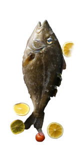 Fish Flounder Ice Vinyl Car Decal Sticker – Waterproof & UV-Resistant 8"