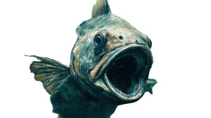 Fish-Mouth Cloud Vinyl Car Decal Sticker – Waterproof & UV-Resistant 8"