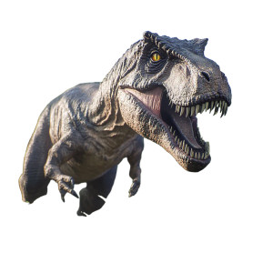Allosaurus Vinyl Car Decal Sticker – Waterproof & UV-Resistant 8" Allosaurus Vinyl Car Decal Sticker – Waterproof & UV-Resistant 8"