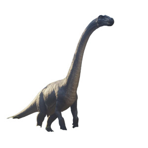 Detailed Brachiosaurus Vinyl Car Decal Sticker – Waterproof & UV-Resistant 8" Detailed Brachiosaurus Vinyl Car Decal Sticker – Waterproof & UV-Resistant 8"