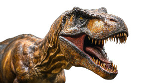 Tyrannosaurus Rex V5 Vinyl Car Decal Sticker – Waterproof & UV-Resistant 8" Tyrannosaurus Rex V5 Vinyl Car Decal Sticker – Waterproof & UV-Resistant 8"
