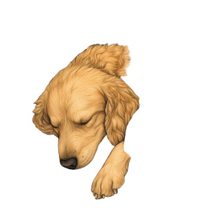 Dog Tarot Card Vinyl Car Decal Sticker – Waterproof & UV-Resistant 8"