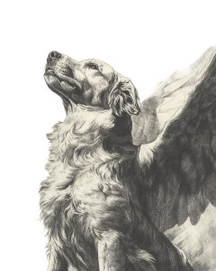 Dog In Heaven Vinyl Car Decal Sticker – Waterproof & UV-Resistant 8"