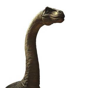 Brachiosaurus Cinematic Shot Vinyl Car Decal Sticker – Waterproof & UV-Resistant 8" Brachiosaurus Cinematic Shot Vinyl Car Decal Sticker – Waterproof & UV-Resistant 8"