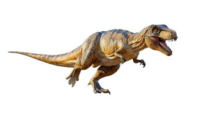 Attacking T-Rex Vinyl Car Decal Sticker – Waterproof & UV-Resistant 8"