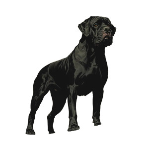 Vintage Comic Mastiff Vinyl Car Decal Sticker – Waterproof & UV-Resistant 8" Vintage Comic Mastiff Vinyl Car Decal Sticker – Waterproof & UV-Resistant 8"