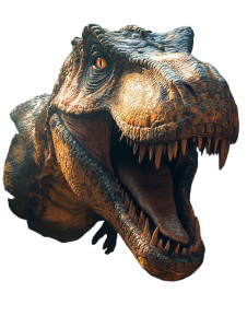 Hyper Realistic T-Rex V2 Vinyl Car Decal Sticker – Waterproof & UV-Resistant 8" Hyper Realistic T-Rex V2 Vinyl Car Decal Sticker – Waterproof & UV-Resistant 8"