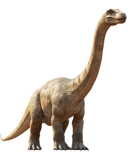 Realistic Brontosaurus Vinyl Car Decal Sticker – Waterproof & UV-Resistant 8" Realistic Brontosaurus Vinyl Car Decal Sticker – Waterproof & UV-Resistant 8"