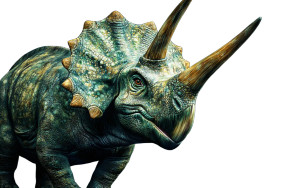 Happy Triceratops Vinyl Car Decal Sticker – Waterproof & UV-Resistant 8" Happy Triceratops Vinyl Car Decal Sticker – Waterproof & UV-Resistant 8"